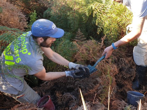 Te Kakano, Trees, & a Triathlon